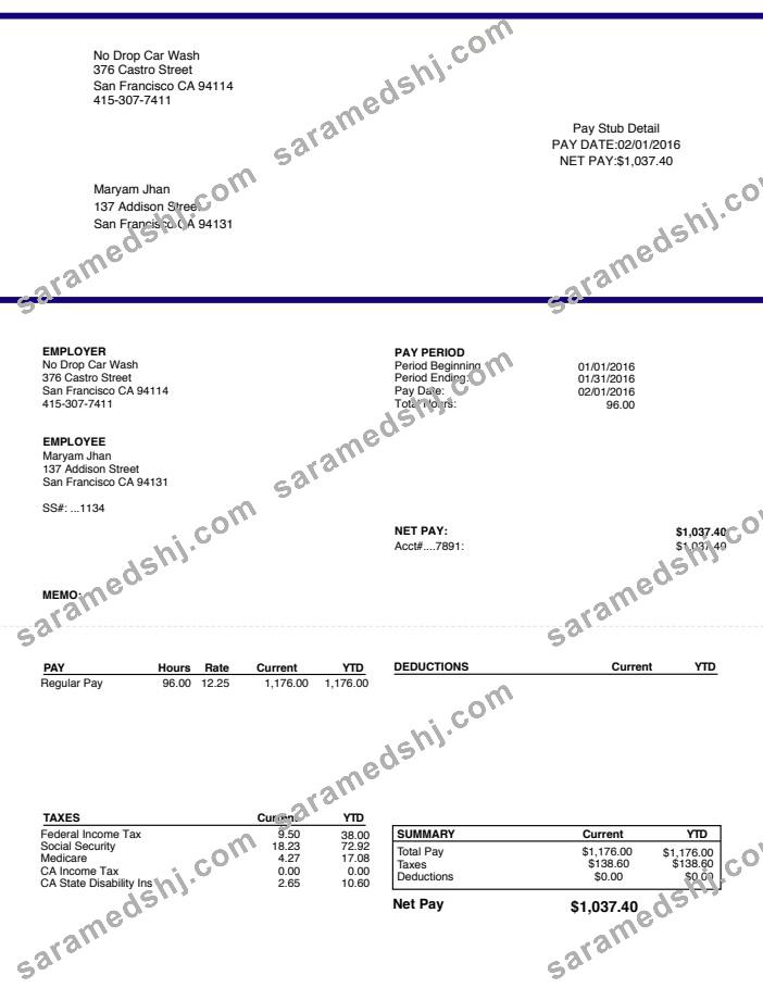 Car Wash Paystub Word and PDF template